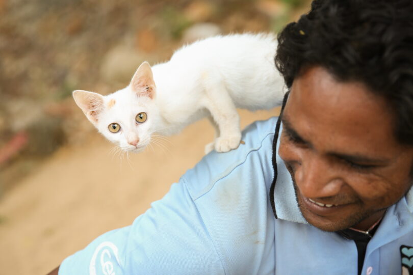 Team member with a white kitten on his shoulder