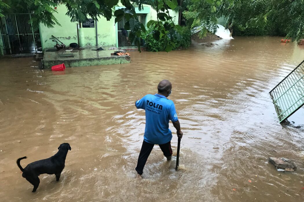 TOLFA staff member wading through flood water, followed by a black dog