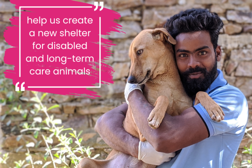 Graphic showing TOLFA staff member cuddling a tan dog with the the text 'help us create a shelter for disabled and long-term care animals'